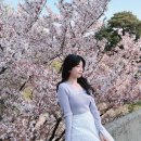 뿌슝빠슝 PC방 | 얼렁뚱땅 대구 벚꽃여행 망해버린 후기 ❓❗💃 (2023.04.01~04.03)