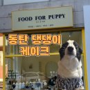 푸드포퍼피 이미지