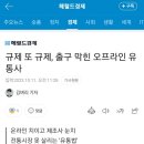 소비자마트 이미지