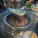 쪽쪽갈비성당점 | 정류장 맛집] 대구 슬러시 소주 맛집 주기적으로 찾게 되는 맛집 서부정류장 쪽갈비맛집 쪽쪽갈비 성당점