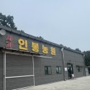 레진공예 | 힐링 시간, 애플리라탄 로터스하우스에서 연잎밥 + 올챙이 우렁이 잡고 라탄&amp;레진 공예 클래스 체험 후기🌿