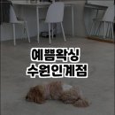 예쁨왁싱수원