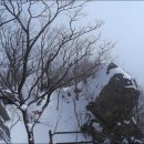 삼가-21 이미지