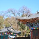 밀양 가볼 만한 사찰 도심 속 아담한 용궁사
