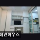 브레인고시텔