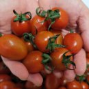 행복드림농장 이미지