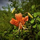 합동 일반행정사 이미지