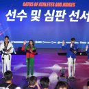 비상태권도 이미지