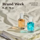 니어리스트 이미지