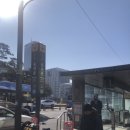 동대문역 3번출구 | [서울 동대문 77년생 곱도리전골식당] 얼큰국물 동대문역 맛집