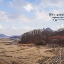 강화도마리마리 이미지