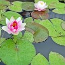 강주마을회관 이미지