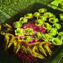 백사장회센터 | 안면도 자연산대하 구매하기 좋은 회센터 방포수산 포장