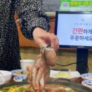 달락달리도낙지 이미지