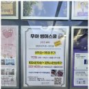 카페무아 - 경주시 구매3길 5-2 | 카페무아