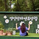 집투어 | 영인산자연휴양림 주차장 숲속의집 예약방법 스탬프투어 후기