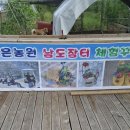 농촌체험장 Daum카페