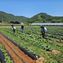 (주)동방아그로 이미지