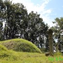 윤민헌 선생 묘 이미지