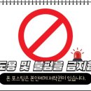 카페비아나