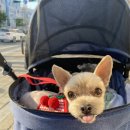 신통방통 동물병원 이미지