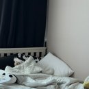 태경리치 | 소희의 달