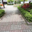 버드내마을 이미지