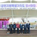 위라리인조구장 이미지