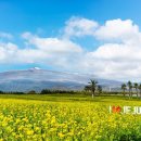 기린 생활공원 이미지