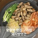 호박노래연습장 | 망원역 맛집 고기집 돼지방앗간 구워주는 고깃집 추천