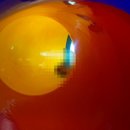 투썸플레이스 장림점 이미지