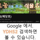 제가 만드는 책 내용을 Youtube 에 게재합니다. 이미지