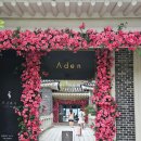 보문아구 이미지