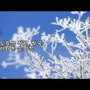 눈 (Snow)(산길 걸어간다오) 이미지