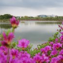 쌍암공원 이미지