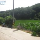 새한일자동차운전전문학원