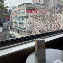 [주맛먹맛] 4월 둘째주: 들기름막국수, 투움바맥모닝, 버섯육개장까지! 고복씨 주말 먹부림 🍽