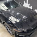 프로카워시 | 수지손세차 카에스테틱, 머스탱 에코부스트 브론즈디테일링 관리기