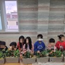 힐링 원예 교실 이미지