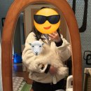 멍멍한상 | [일상] 집나가면 개고생3편 (마지막)