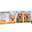 튼튼동물약국 이미지