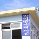 안비양 이미지