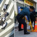 평사(부산) 이미지