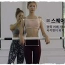 드미플리에