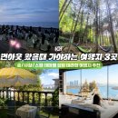 전막2,3길 테마거리 | 번아웃 왔을때 가야하는 국내 힐링 테라피 여행지 3곳(숲/사찰/스파 테마별 여행지 추천)