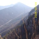 계룡산 ⑥춘신(春信, 2006/02/19, 자연-치개-황적-밀목재-자연) 이미지