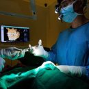 네이버구강악안면외과치과의원 이미지