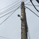 보령건설중기