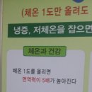 해피파동