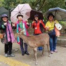 수아농장 이미지